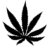 cannabis-leaf